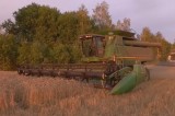 Изображение к новости '"Время. Томичи. Законы": Сельское хозяйство'. 
