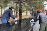 Изображение к новости 'Депутаты вместе с томичами наводят порядок в городе'. 