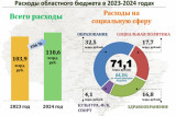 Об исполнении областного бюджета за 2024 год